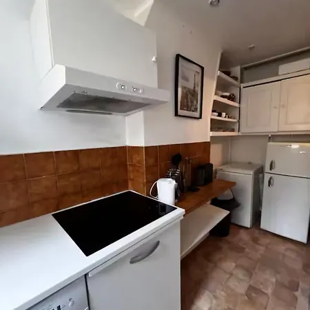 Eiffel Tower View Haussmanian Charm 2min Walk From The Eiffel Tower Gardens باريس